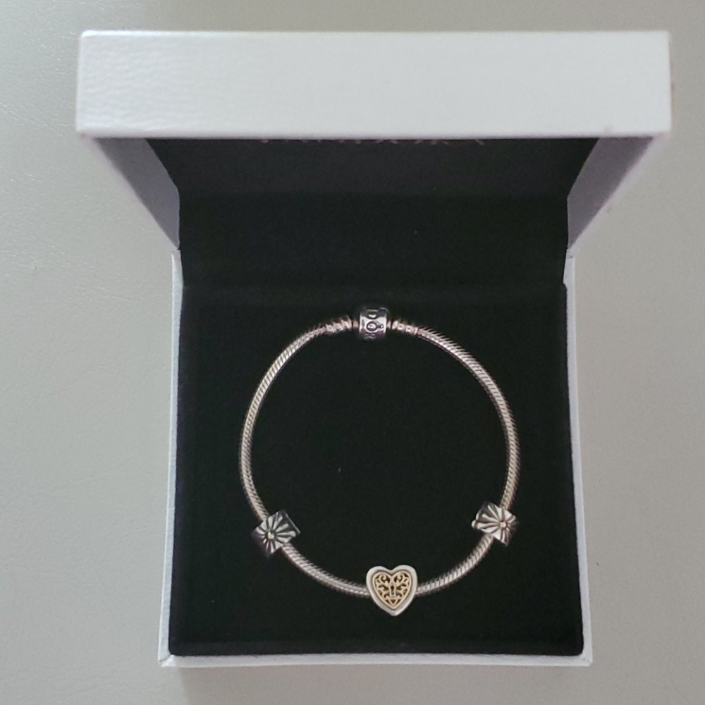 Aunthentic Pandora Bracelet and Charms
